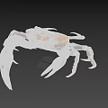 Realistic Orange Crab Aquatic Animal With Blue Claws And Detailed Features