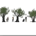 Olive Trees With Group of People Standing And Squatting Under Black Background