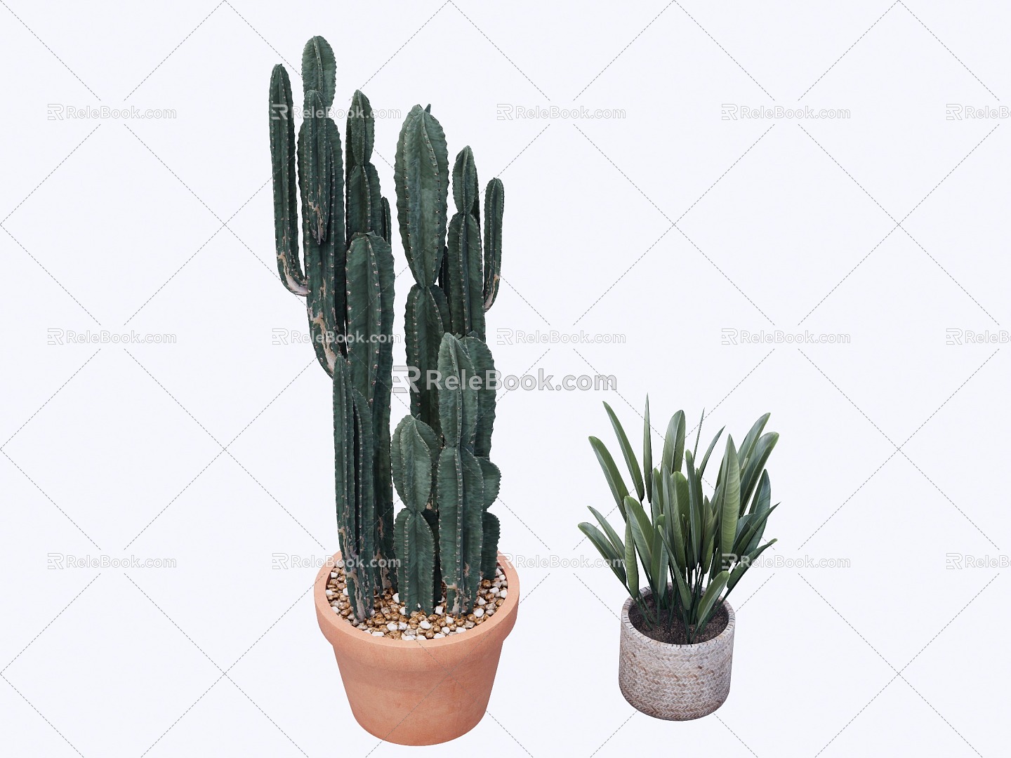 indoor potted plant 3d model