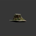 Tree Stump With Rough Surface Covered In Green Moss And Natural Ground Cover