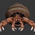 Orange Hermit Crab With Long Claws Carrying Spiral Shell on Dark Surface 3d model