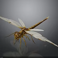 Detailed Brown Dragonfly With Transparent Spread Wings On Dark Background