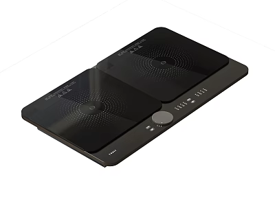Black Double Burner Induction Cooktop With Glass Panel And Touch Control For Modern Kitchens 3d model