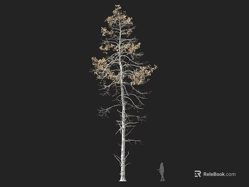 Tall Arbor With Sparse Yellow Leaves And Human Figure For Size Comparison 3d model