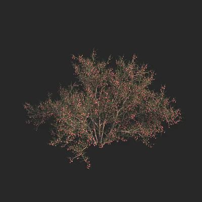 Modern Bubble Fruit Calligonum 3d model Modern Bubble Fruit Calligonum 3d model