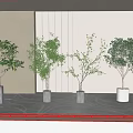 Modern Hall Interior With Various Potted Plants In White And Gray Pots On Patterned Carpet