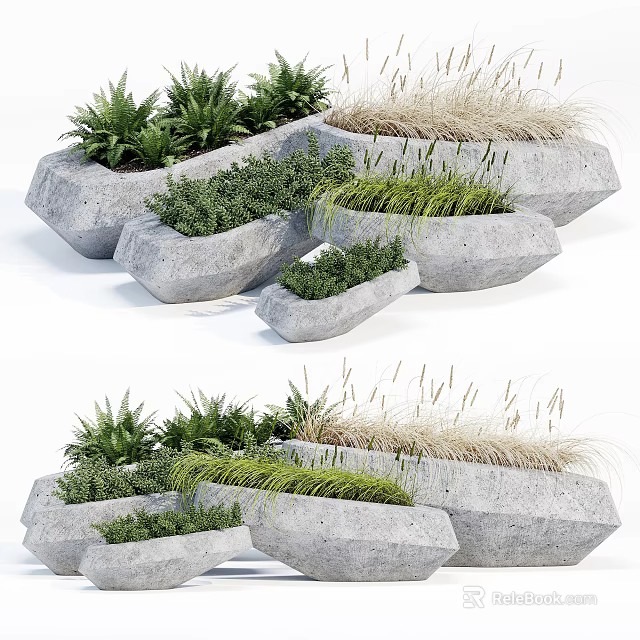 Bonsai Potted Plants In Stylish Irregular Stone Planters With Green Foliage And Grasses 3d model 