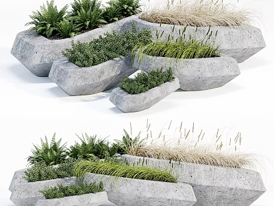 Bonsai Potted Plants In Stylish Irregular Stone Planters With Green Foliage And Grasses 3d model