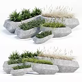 Bonsai Potted Plants In Stylish Irregular Stone Planters With Green Foliage And Grasses