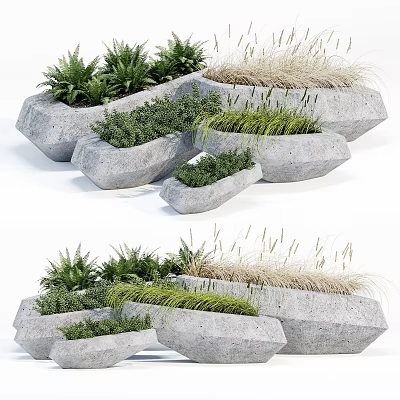 Bonsai Potted Plants In Stylish Irregular Stone Planters With Green Foliage And Grasses 3d model