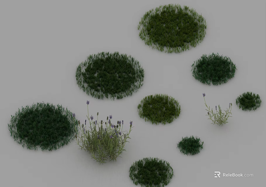 Round Green Grass Patches and Lavender Plants with Purple Flowers on White Background 3d model 