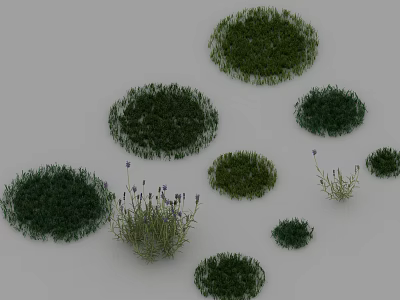 Round Green Grass Patches and Lavender Plants with Purple Flowers on White Background 3d model