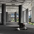 Modern Fitness Gym Interior With Hanging Yellow Punching Bags Green Mats And City View Windows