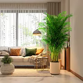 Modern Living Room with Sofa Colorful Pillows Large Green Plant Ceiling Lamp and Coffee Table