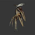 Light Brown Crab With White Claws And Long Legs On Dark Reflective Background
