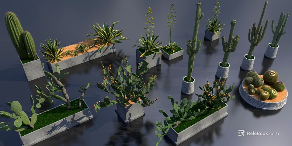Bonsai Potted Plants With Various Succulents Cactus in Concrete Rectangular Planters 3d model 