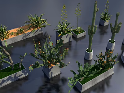 Bonsai Potted Plants With Various Succulents Cactus in Concrete Rectangular Planters 3d model