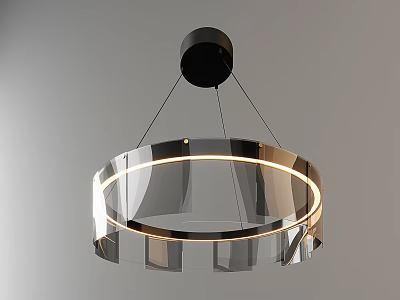 Modern Circular Chandelier with Transparent Material Black Ceiling Mount and LED Light Ring 3d model