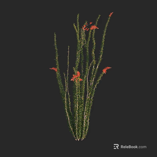 Green Leafy Shrub With Red Flowers In Outdoor Natural Setting 3d model 