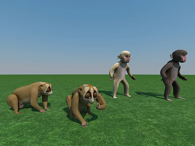 Four Reptiles In Different Postures On Green Grass With Various Colors 3d model