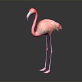 Modern Flamingo Firebird Cartoon Firebird 3d model