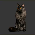 Realistic Gray Long Haired Cat With Fluffy Fur And Yellow Eyes Sitting On Dark Background