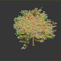 Lush Green Tree With Vibrant Pink Flowers And Foliage On Dark Background