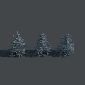 Three Tall Snow Covered Trees Standing In A Row With Shadows On Gray Background