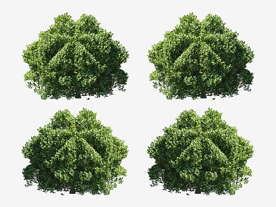 Lush Green Shrubs With Dense Foliage For Garden Landscaping Ideas 3d model