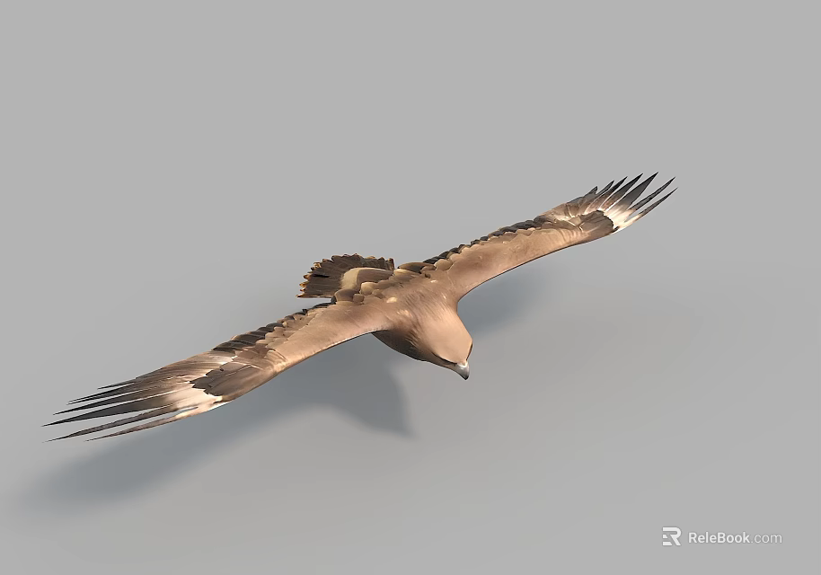 Majestic Flying Eagle Soaring High with Spread Wings in Clear Sky 3d model 