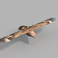 Majestic Flying Eagle Soaring High with Spread Wings in Clear Sky