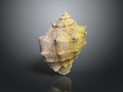 Intricate Conch With Spiky Protrusions And Unique Yellowish Brown Textured Pattern On Dark Surface 3d model