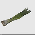 Fresh Green Onions Bunch With Vibrant Green And White Stalks On White Background