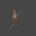 Realistic Velociraptor Dinosaur 3D Model With Brown Stripes And Yellow Eyes