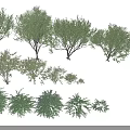 Various Green Shrubs in Different Sizes and Shapes for Landscaping Projects 3d model