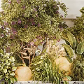 Vibrant Indoor Landscape Featuring Lush Greenery Purple Flowering Plants And Natural Decor