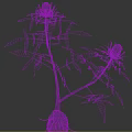 Lush Green Plant with Long Branches Fresh Leaves and Unopened Bud