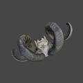 Animal Skull With Curved Horns And Natural Texture On Gray Background
