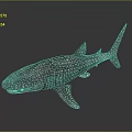 Detailed Whale Shark 3D Rendering With Spotted Skin Pattern And Lifelike Underwater Creature Features
