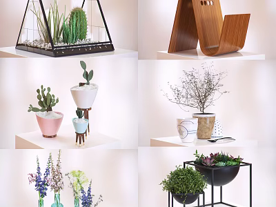 Decorative Potted Plants Featuring Cactus Succulents In Glass Wooden Metal Containers 3d model