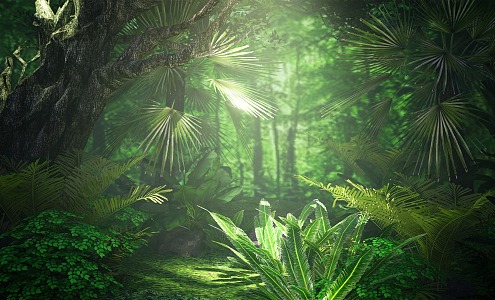 Tropical forest Modern forest 3d model