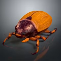 Yellow And Dark Brown Beetle With Shiny Shell And Legs On Dark Background 3d model