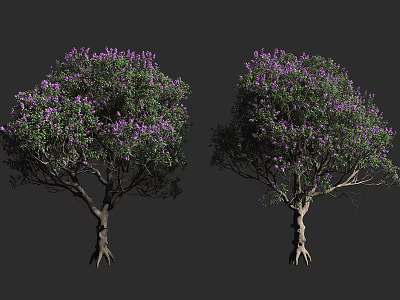 Two Trees with Purple Flowers and Green Leaves on Neutral Gray Background 3d model
