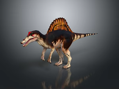 Detailed Sail Backed Spinosaurus Dinosaur With Red Eyes Brown And White Striped Body 3d model