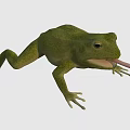 Playful Green Frog With Cheerful Expression Sticking Out Tongue