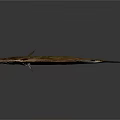 Whole Fresh Flounder Fish With Grayish Brown Body Texture Isolated On Dark Background