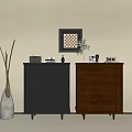 Modern Entryway Side Cabinets with Dark and Brown Design Decorated by Vase and Plant