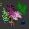 Various Green Indoor Plants With Lush Foliage In Decorative Potted Containers