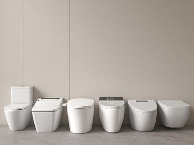 Modern toilet model