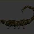 Metallic Scorpion Model Standing On Gray Background With Detailed Features And Lighting 3d model